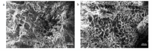 Study of carbonation and combined chemical corrosion of cement composites affected by geothermal water
