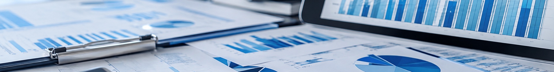 Economy – analytical graphs on workstation