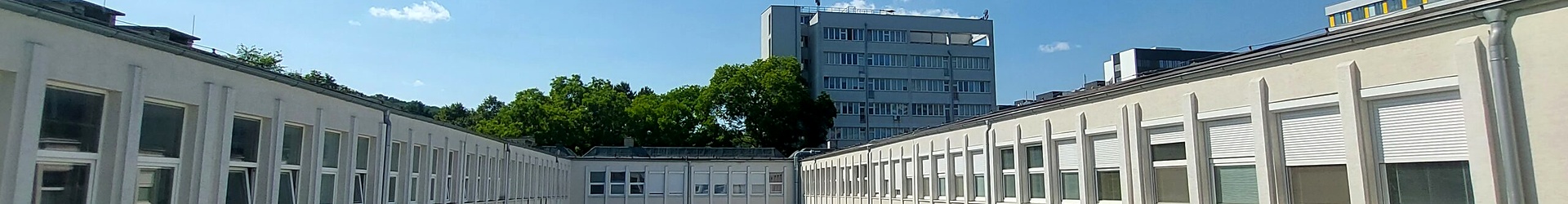 Institute – courtyard and campus