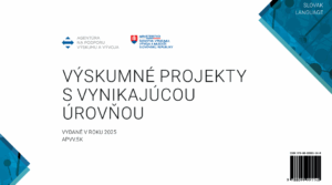 Our project among the top in 2025